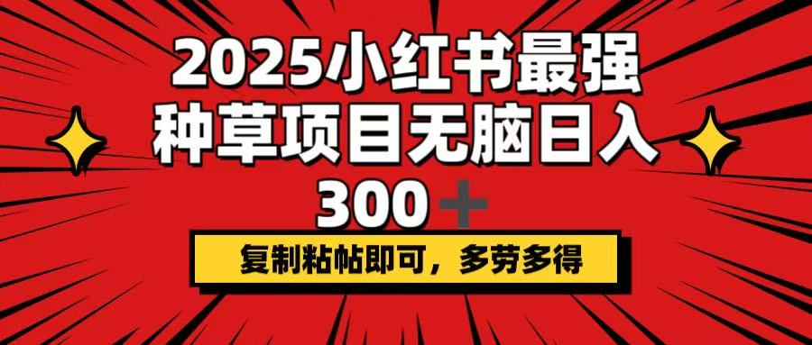 （14375期）2025小红书最强种草项目，无脑日入300+，复制粘帖即可，多劳多得-赚钱网
