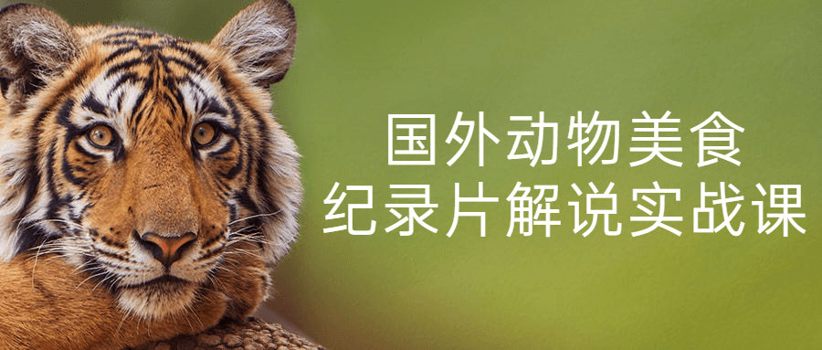 国外动物美食纪录片解说实战课-赚钱网