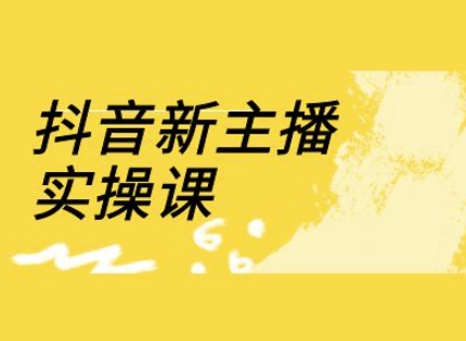 抖音新主播实操课，直播间流量运营线上实操课(18节)-赚钱网