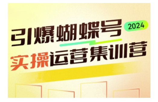 引爆蝴蝶号实操运营，助力你深度掌握蝴蝶号运营，实现高效实操，开启流量变现之路-赚钱网