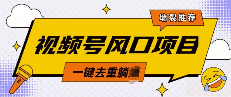视频号风口蓝海项目，中老年人的流量密码，简单无脑，一键去重，轻松月入过W-赚钱网