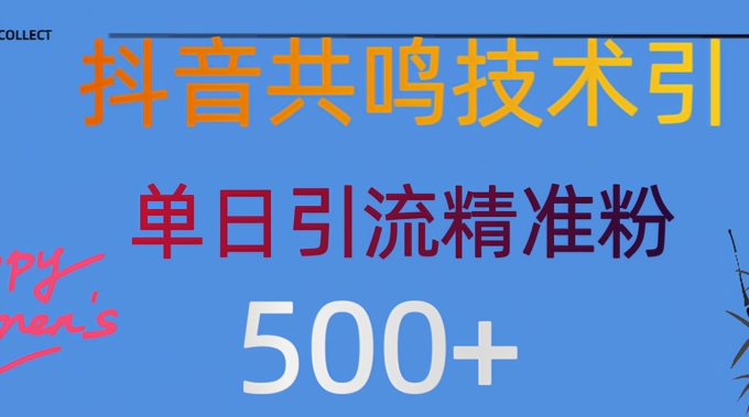 抖音情感引流创业粉，自然低成本，日引500+-赚钱网