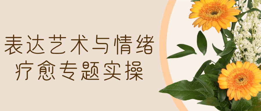 表达艺术与情绪疗愈专题实操-赚钱网