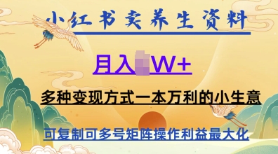 在小红书上卖养生资料，月入1w+，多种变现方式一本万利的小生意-赚钱网