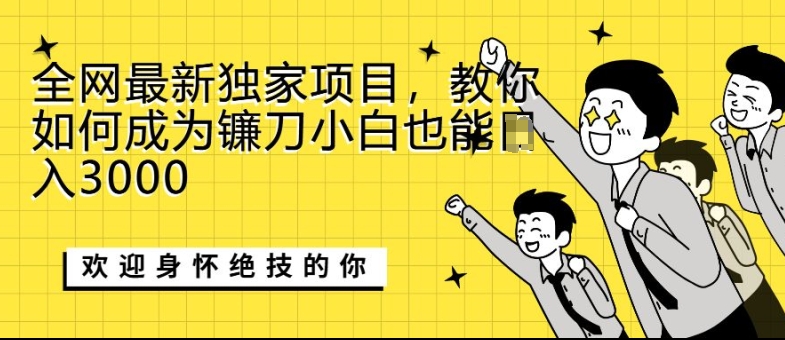 全网最新独家项目，教你如何成为镰刀小白也能日入上K-赚钱网