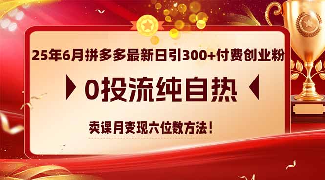 （14989期）25年6月拼多多最新日引300+付费创业粉，0投流纯自热 卖课月变现六位数方法-赚钱网