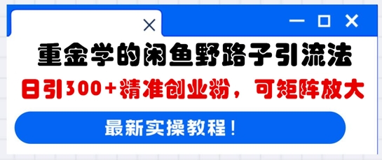 重金学的闲鱼野路子引流法，日引300+精准创业粉，可矩阵放大-赚钱网