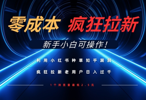 利用小红书种草知乎漏洞，零成本疯狂拉新日入数张，新手小白可操作-赚钱网