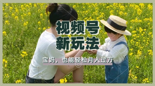 利用车祸意外视频，撸视频号分成收益，轻松月入过W，操作简单，适合宝妈，上班族-赚钱网