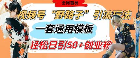 视频号“野路子”玩法，评论区疯狂截流，一套模板单日单号引流50+创业粉-赚钱网