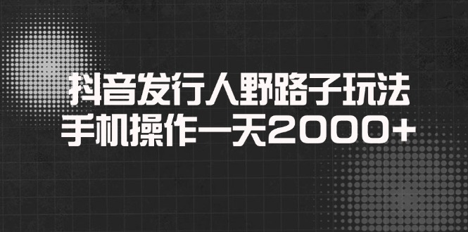 （14068期）抖音发行人野路子玩法，手机操作一天2000+-赚钱网