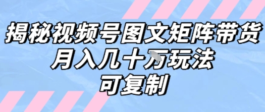 解密视频号图文矩阵带货，月入几个W的打法，可复制-赚钱网