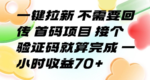 一键拉新 不需要回传 首码项目 接个验证码就算完成 一小时收益70+【揭秘】-赚钱网