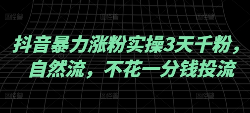 抖音暴力涨粉实操3天千粉，自然流，不花一分钱投流，实操经验分享-赚钱网