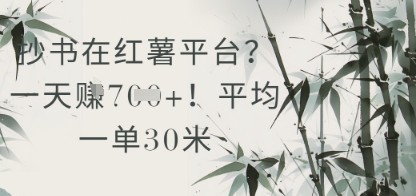 抄书在小红薯平台？平均一单30米，一天收益几张！-赚钱网