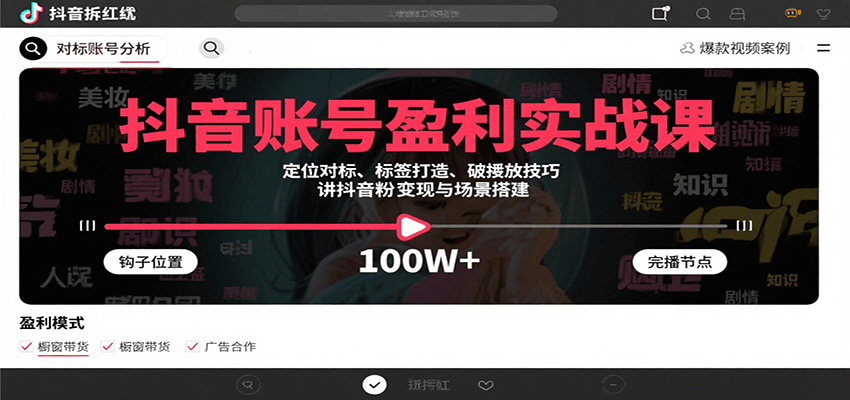 抖音账号盈利实战课，定位对标、标签打造、破播放技巧，讲涨粉变现与场景搭建-赚钱网