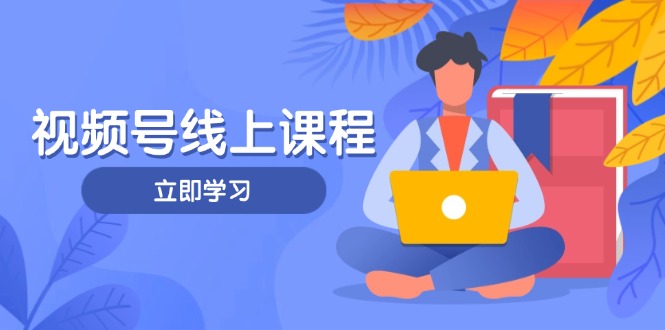 （14360期）视频号实战课程，轻IP打造与运营技巧，掌握核心方法与策略-赚钱网