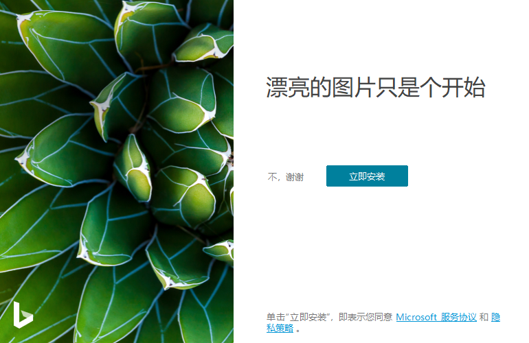 Bing Wallpaper v2.0.1.4中文版-赚钱网