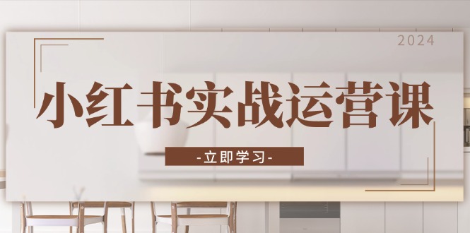 （13238期）小红书实战运营课：从开通店铺到直播话术，打造爆款笔记与高效直播-赚钱网