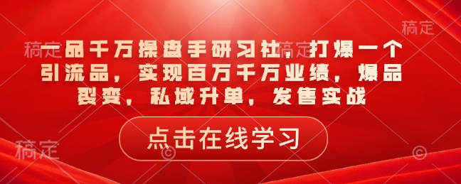 一品千万操盘手研习社，打爆一个引流品，实现百万千万业绩，爆品裂变，私域升单，发售实战-赚钱网