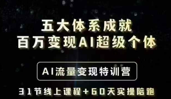 五大体系成就百万变现AI超级个体- AI流量变现特训营，一步一步教你一个人怎么年入百W-赚钱网