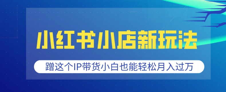 小红书小店新玩法，蹭这个IP带货，小白也能轻松月入过W【揭秘】-赚钱网