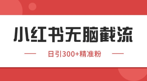 小红书截流同行客源，独家野路子获客玩法 日引200+暴力获客【揭秘】-赚钱网
