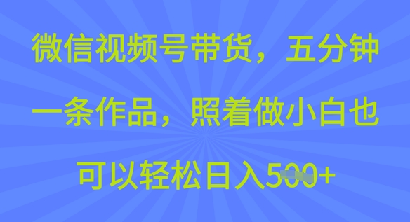 微信视频号带货，五分钟一条作品，照着做小白也可以轻松日入5张-赚钱网