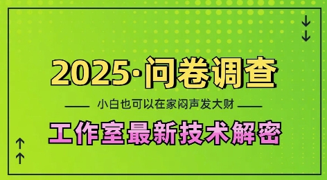 2025问卷调查最新工作室技术解密：一个人在家也可以闷声发大财，小白一天2张，可矩阵放大【揭秘】-赚钱网