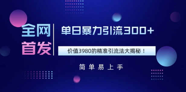 全网首发，价值3980单日暴力引流300+的精准引流法大揭秘-赚钱网