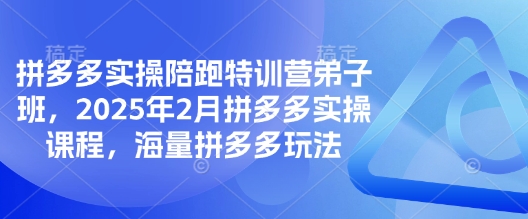 拼多多实操陪跑特训营弟子班，2025年2月拼多多实操课程，海量拼多多玩法-赚钱网