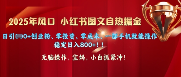 25年风口小红书图文掘金，日引300+创业粉、零投资、零成本、一部手机就能操作-赚钱网