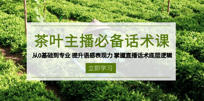 （13961期）茶叶 主播必备话术课 从0基础到专业 提升语感表现力 掌握直播话术底层逻辑-赚钱网