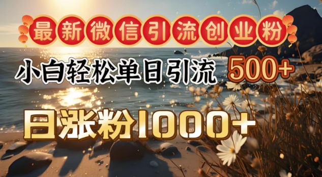 最新微信引流创业粉，小白单日轻松引流500+，日涨粉1000+-赚钱网