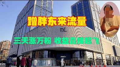 蹭胖东来流量，三天涨万粉，收益直接起飞-赚钱网