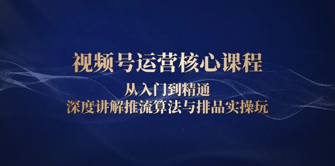 （13863期）视频号运营核心课程，从入门到精通，深度讲解推流算法与排品实操玩-赚钱网