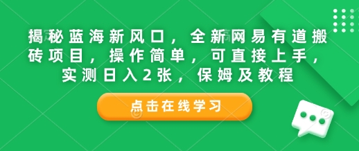 揭秘蓝海新风口，全新网易有道搬砖项目，操作简单，可直接上手，实测日入2张，保姆及教程-赚钱网