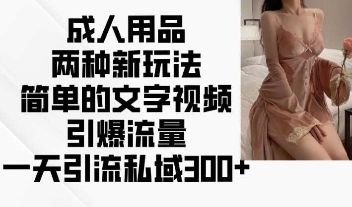 成人用品两种新玩法，简单的文字视频引爆流量，一天引流私域300+-赚钱网