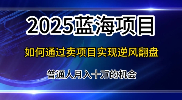 2025蓝海项目，普通人如何通过卖项目实现逆风翻盘，月入10个【揭秘】-赚钱网