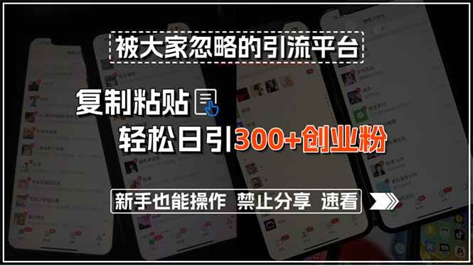 （15428期）被大家忽略的引流平台，复制粘贴轻松日引300+创业粉，新手也能操作，禁…-赚钱网