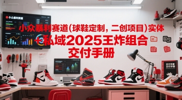 小众暴利赛道(球鞋定制，二创项目)实体+私域2025王炸组合  交付手册-赚钱网