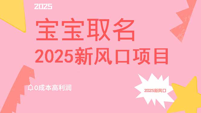 （14593期）2025新风口项目宝宝取名，0成本高利润，附保姆级教程，月入过万不是梦-赚钱网