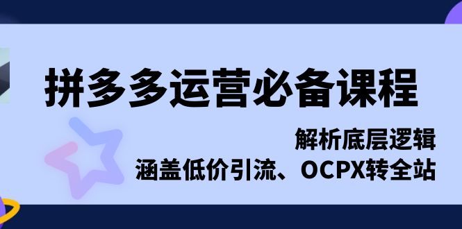 （13700期）拼多多运营必备课程，解析底层逻辑，涵盖低价引流、OCPX转全站-赚钱网