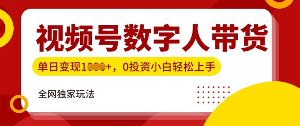 最新视频号数学人带货实操玩法，新手单日轻松多张，全程干货-赚钱网