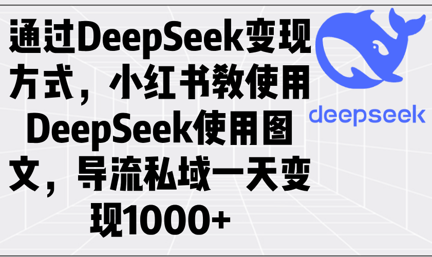 （14179期）通过DeepSeek变现方式，小红书教使用DeepSeek图文，导流私域一天变现1000+-赚钱网
