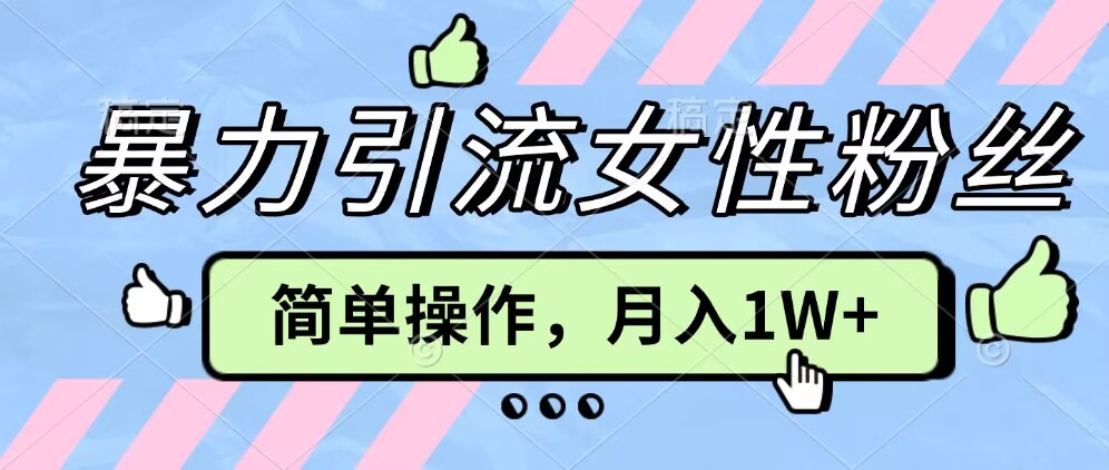 操作“零难度”小众项目，疯狂引流女性粉丝，月入轻松破 1W+-赚钱网