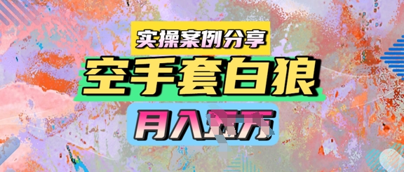 空手套白狼，月入过1W，实操案例分享-赚钱网
