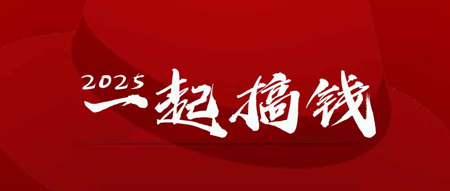 2025年，请“不择手段”去搞钱!-赚钱网