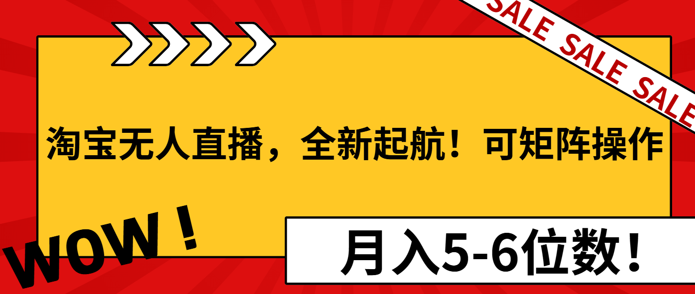 （13946期）淘宝无人直播，全新起航！可矩阵操作，月入5-6位数！-赚钱网