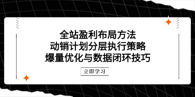 （14698期）全站盈利布局方法：动销计划分层执行策略，爆量优化与数据闭环技巧-赚钱网